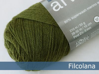 148 - Deep Olive