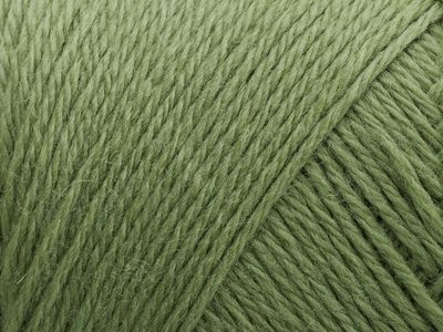 243 - Basswood Green
