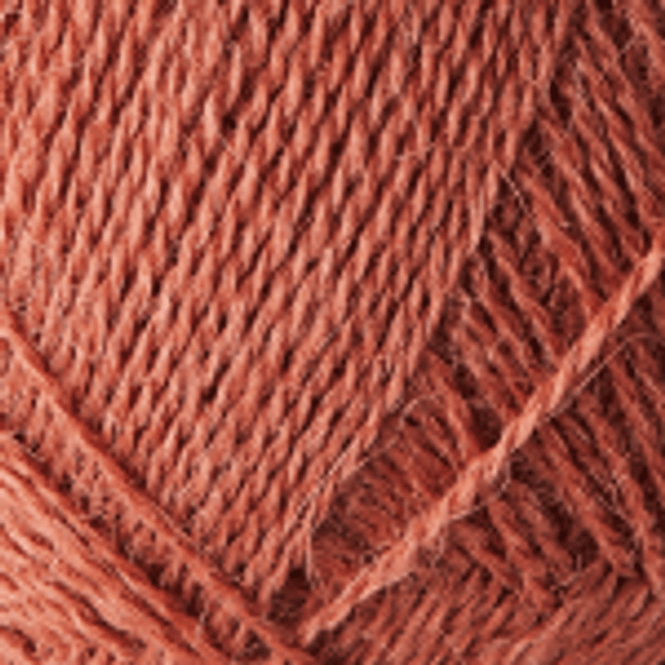 Hovedbilde Alpaca 1 - 1