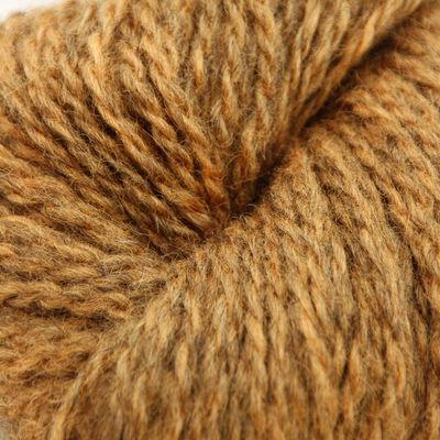 BLÅNE - 2122 Rødgul