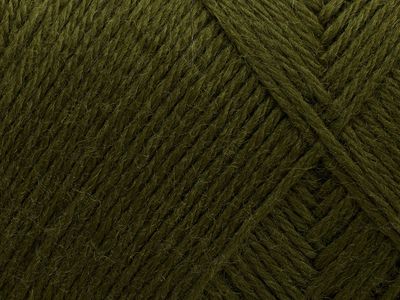 148 - Deep Olive