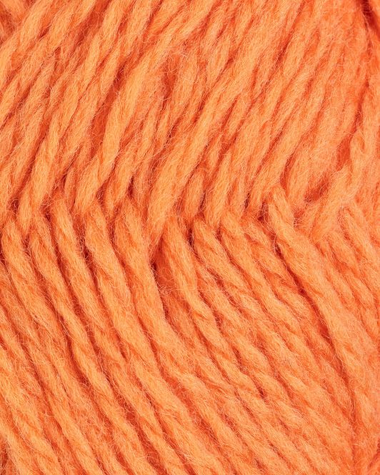Hovedbilde VAMS - 113 Melon