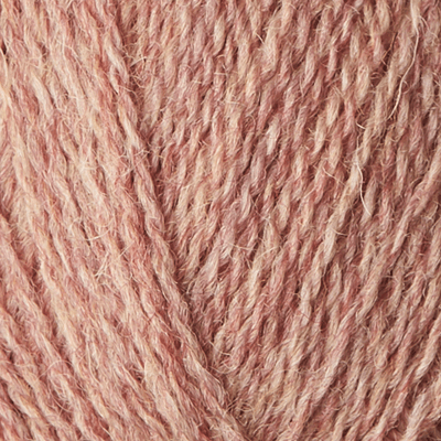 Highland FV Rose