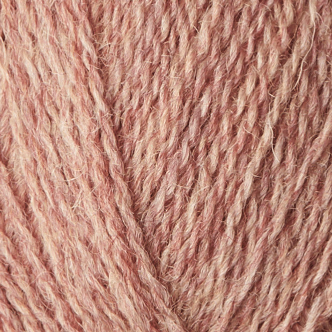 Hovedbilde Highland FV Rose